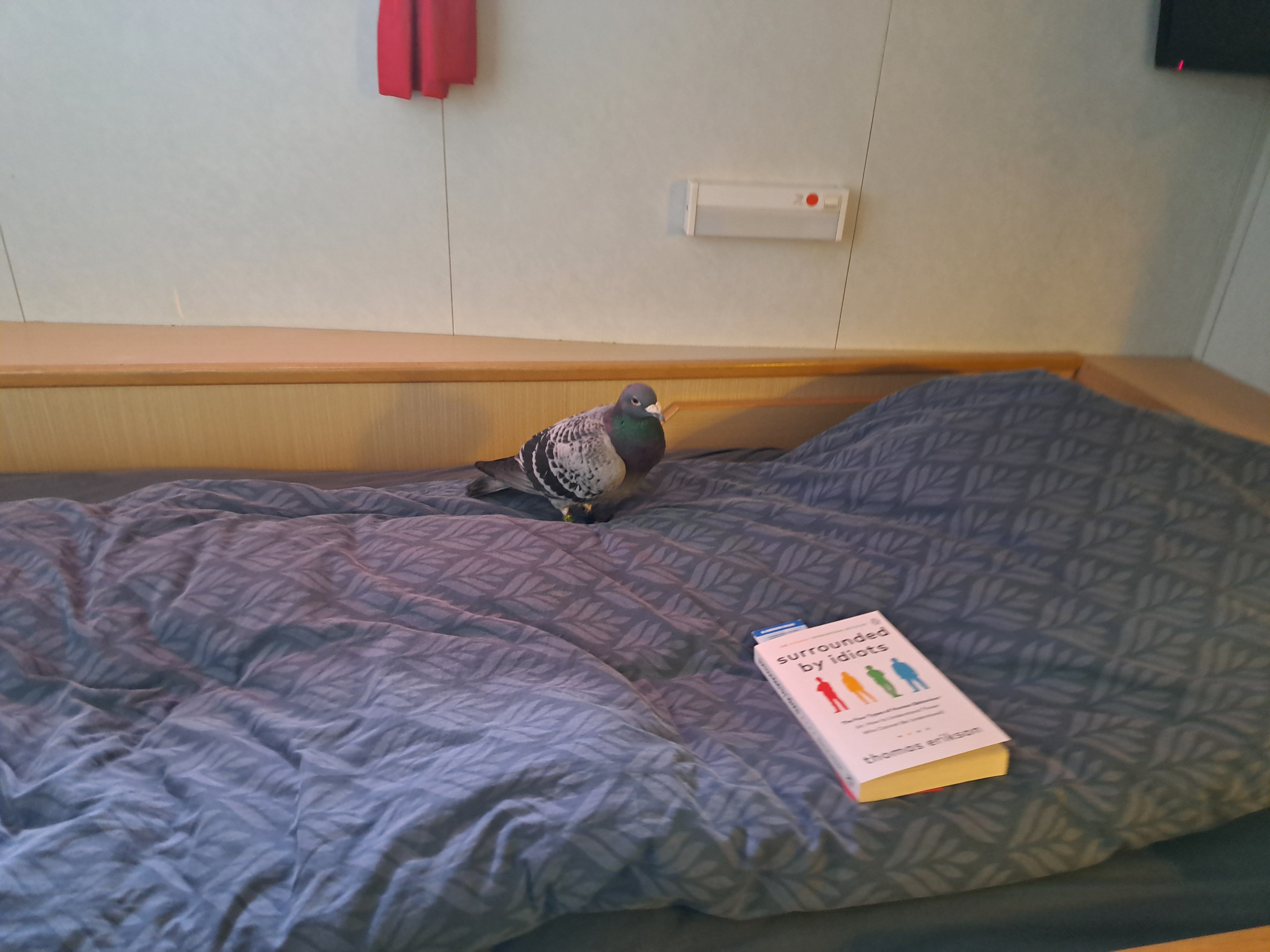 Everybody loves books.jpg